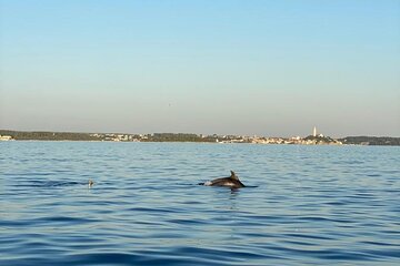 Explore Vrsar with Private Boat Cruise