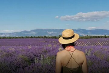 Visit of a winery and lavender farm