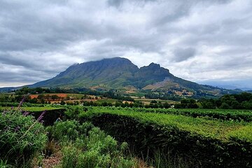 Private Tour in Stellenbosch Central with 4WD Transportation