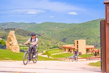 E-Bike Adventure to Fiesole from Florence with Olive Oil Tasting