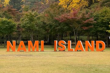 Nami Island Tour