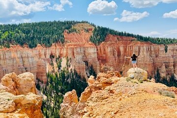 YOU DRIVE!! Back Country Views of Bryce Canyon UTV Tour-Full Day!