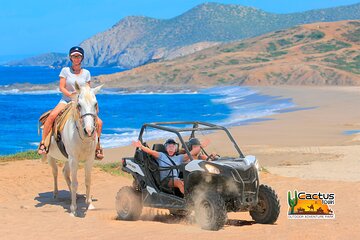 Beach UTV and Horseback Riding in Cabo
