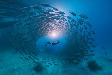 5 Secret Gili Snorkeling Adventure Experience from Gede to Goleng