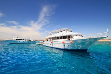 Ras Mohamed & White Island Full Day Adventure in Sharm El Sheikh