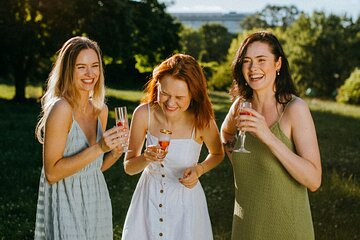 Half Day Vineyards & Wine Tasting from Aix en Provence