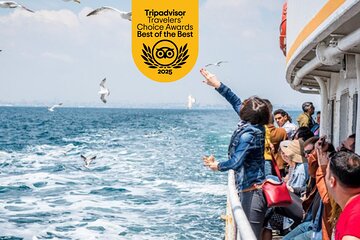 Princess Islands Tour With Lunch and Guide