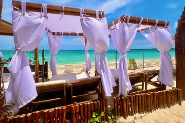 Visit in Cartagena Playa Blanca in Baru Island 