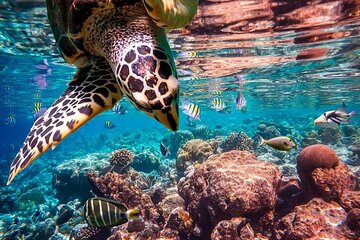  Sharm El Naga Full-Day Snorkeling with Lunch from Hurghada