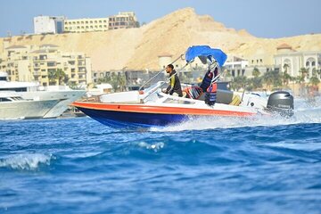 Swim With Dolphin By Semi PRIVATE Speedboat & Transfer - Hurghada