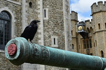 Tower of London and Monument Entry Tickets