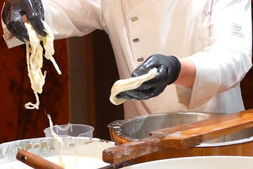 Florence: Mozzarella Cheese Making with Wine and food Tastings