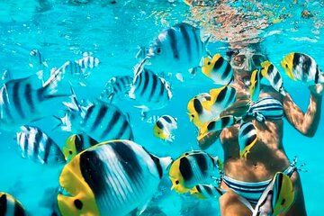 Rosario Islands Full Day Boat Tour with Lunch and Snorkeling