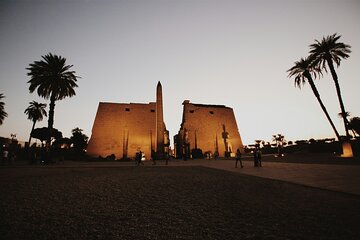  Half Day Luxor East Bank Karnak and Luxor Temples