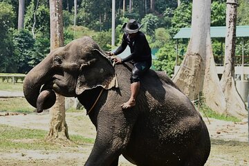  Kuala Lumpur Bus Tour Experience 3 Days