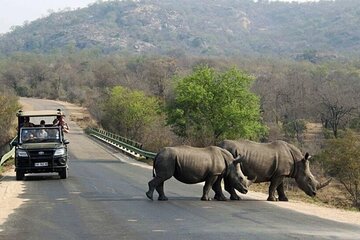 12 Day Safari Cape Town to Johannesburg