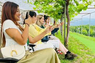 Private Wine Tasting Tour in Yamanashi Prefecture