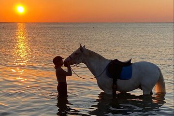 Hurghada: Red Sea & Desert Horse Riding Tour with Swimming