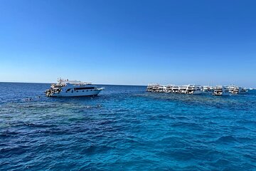 Ras Mohammed and White Island VIP Boat & Seafood Lunch From Sharm