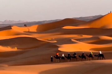 Merzouga desert 3 days
