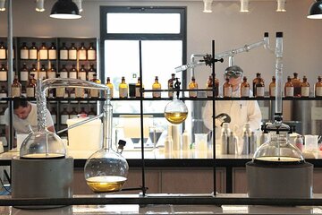 Nice : Excursion at Eze Village and Fragonard Perfume factory