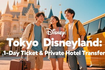 Tokyo Disneyland: 1-Day Ticket & Private Hotel Transfer