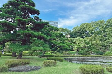 Edo Castle Ruins and Imperial Palace East Gardens Tour