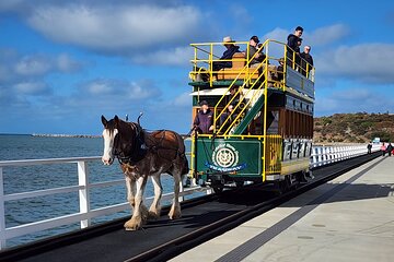 McLaren Vale, Port Elliot and Victor Harbor Minibus Tour