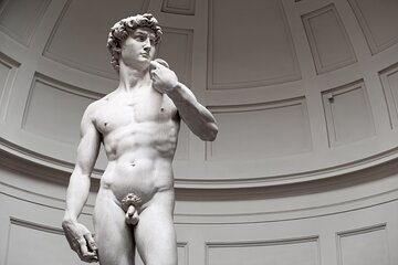 Florence Walking Tour with Accademia, Uffizi or Duomo & Lunch