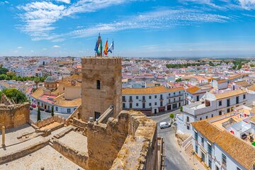 Private Half Day Carmona Tour from Seville