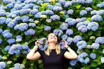 Small Group Tour for Jeju Hydrangea & Mt. Halla incl. Admissions