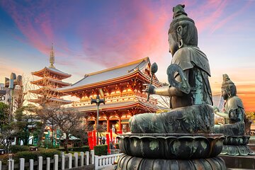 Customizable Private Tokyo Tour with an English-speaking Driver