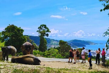 Phuket Elephant Nature Park Observe 