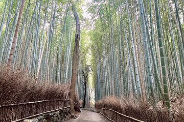 Bamboo Grove Temple and Garden Views Tour