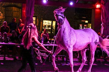 Horseback Ride and BBQ with Spanish Show Cowboy Experience