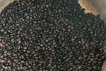 Chocaci Farm Work Shop Cacao, Coffee and Cigar