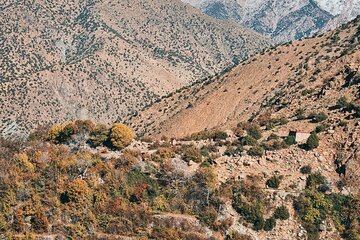 Marrakech Day Trip Ourika Valley and Berber Village Experience