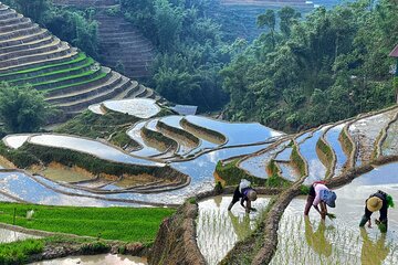 Explore the Best & Highlights of Northern Vietnam in 7 Days