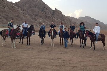 Unforgettable Horse Riding Adventure in Beautiful Desert-Hurghada