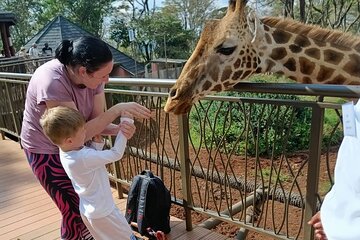 Giraffe, Elephant Orphanage, Cultural Dance & Carnivore Dinner 