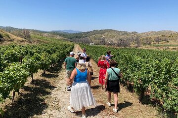 Private Tour Rhodes, Valley of the Butterflies & Local Winery