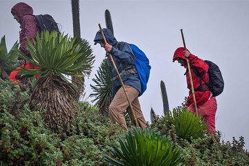 1-Day Mount Muhabura Hiking Adventure 