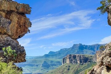 10 Day safari Cape Town to Johannesburg