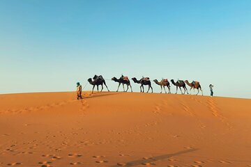 From Marrakech To Fes: 3-Day Desert Tour, Quad-Camel, Dinner Show