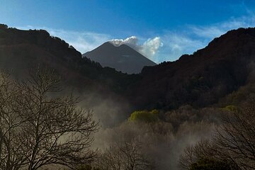 Catania: Etna Morning Jeep/Van Tour