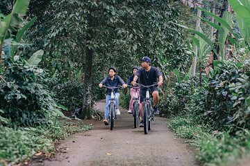 Village Vibes Ubud E-bike Experience
