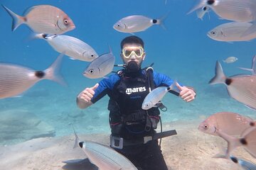 Fethiye Scuba Diving Trip with Mermaid Diving INCL Lunch-Transfer