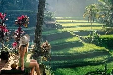 Best of Ubud Sightseeing Private All Inclusive Tour