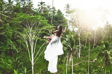 Ubud Private Tour: Monkey Forest, Waterfall & Rice Terrace Swing