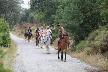 Bodrum Horse Safari Adventure